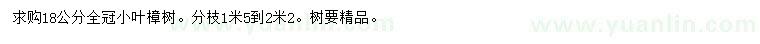 求購18公分小葉樟樹