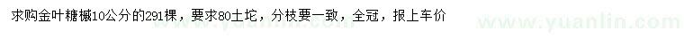 求購10公分金葉糖槭
