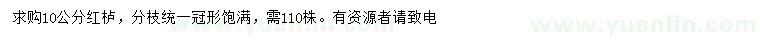 求購10公分紅櫨