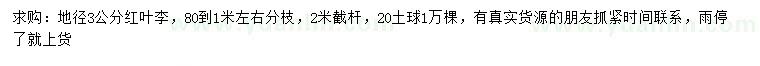 求購(gòu)地徑3公分紅葉李