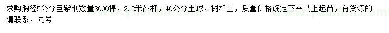 求購胸徑5公分巨紫荊