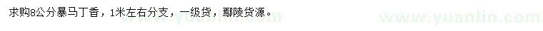 求購8公分暴馬丁香