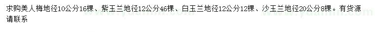 求購美人梅、紫玉蘭、白玉蘭等