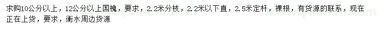 求購10、12公分以上國槐