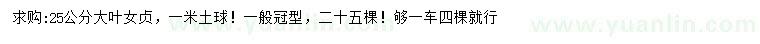 求購25公分大葉女貞