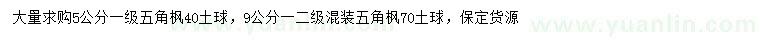 求購5、9公分五角楓