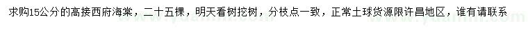 求購15公分西府海棠