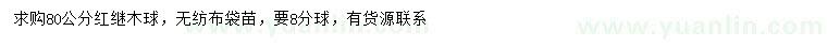 求購(gòu)80公分紅繼木球