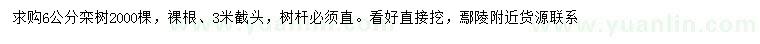 求購6公分欒樹