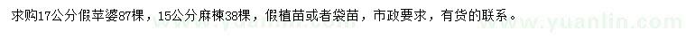 求購(gòu)17公分假蘋婆、15公分麻楝