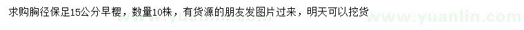 求購胸徑保足15公分早櫻