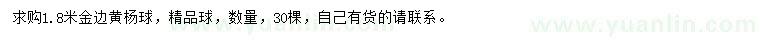 求購1.8米金邊黃楊球