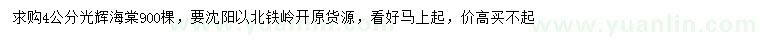 求購4公分光輝海棠