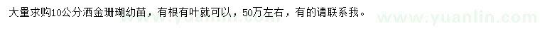 求購(gòu)10公分灑金珊瑚