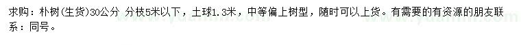 求購30公分樸樹