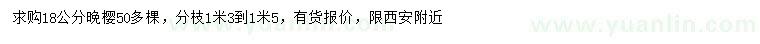 求購18公分晚櫻