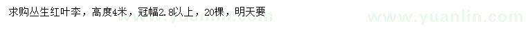 求購高4米叢生紅葉李