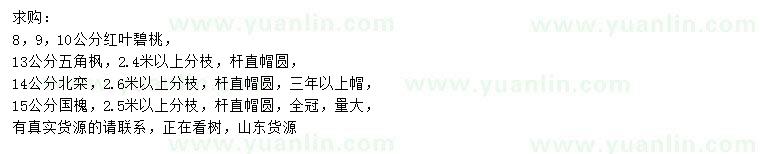 求購紅葉碧桃、五角楓、北欒等