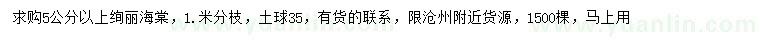 求購5公分以上絢麗海棠