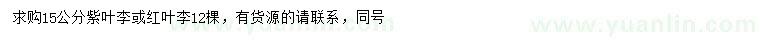 求購(gòu)15公分紫葉李或紅葉李