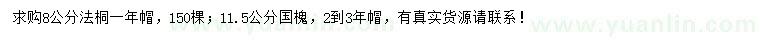 求購8公分法桐、11.5公分國槐