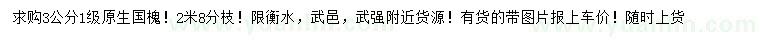 求購3公分國槐