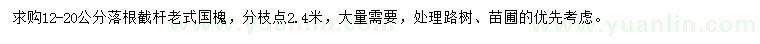 求購12-20公分老式國槐