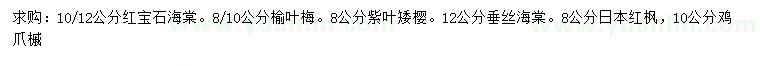 求購(gòu)紅寶石海棠、榆葉梅、紫葉矮櫻等