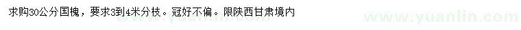 求購30公分國槐
