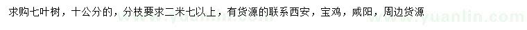 求購10公分七葉樹