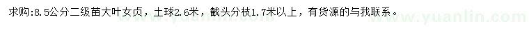 求購8.5公分大葉女貞