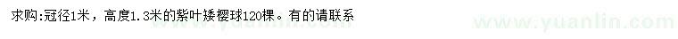 求購冠徑1米紫葉矮櫻球