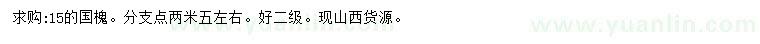 求購15公分國槐