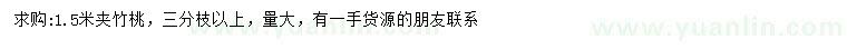 求購1.5米夾竹桃
