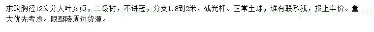 求購胸徑12公分大葉女貞