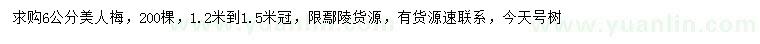 求購6公分美人梅
