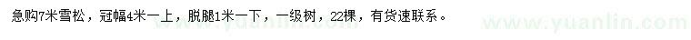 求購7米雪松