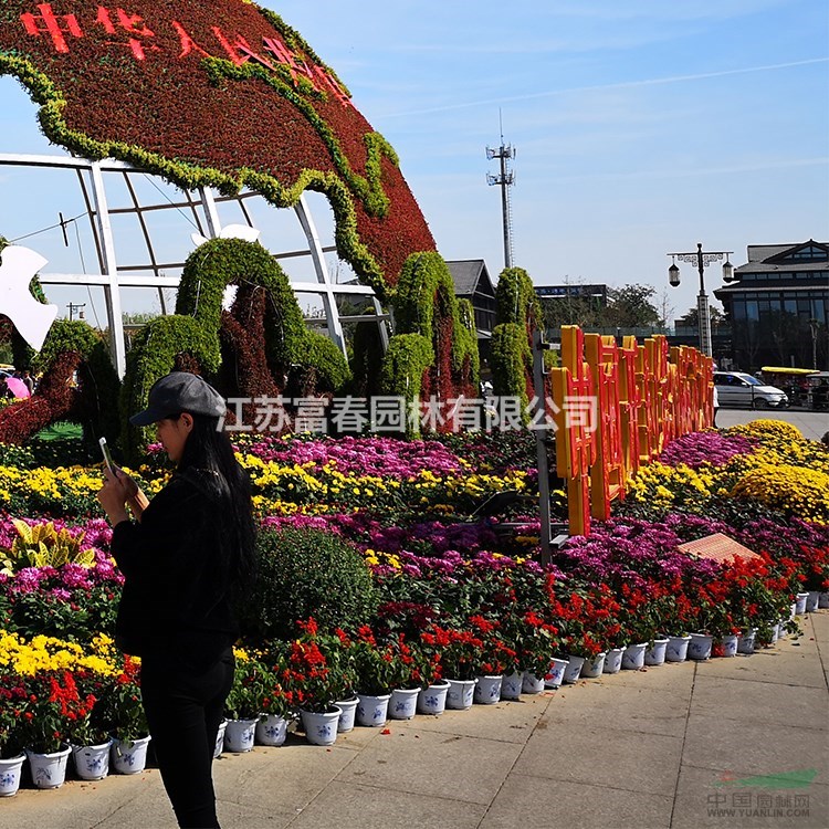 綠地花壇 綠雕 城市景觀雕塑 主題公園雕塑 現代環保雕塑