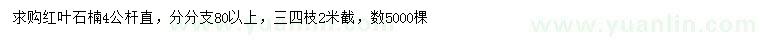 求購(gòu)4公分紅葉石楠