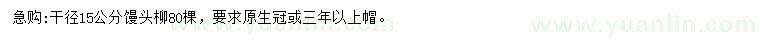 求購15公分饅頭柳