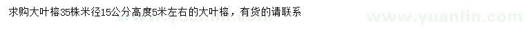 求購米徑15公分大葉榕