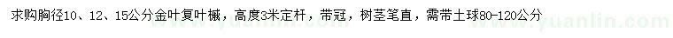求購胸徑10、12、15公分金葉復(fù)葉槭