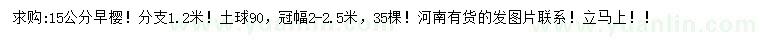 求購15公分早櫻