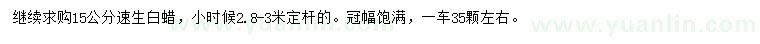 求購15公分速生白蠟
