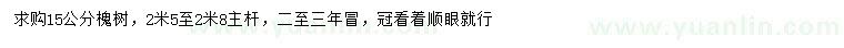 求購15公分槐樹