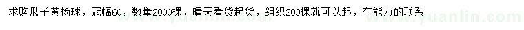 求購(gòu)冠幅60公分瓜子黃楊球