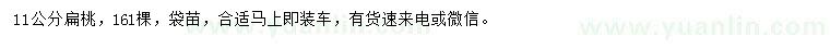 求購11公分扁桃