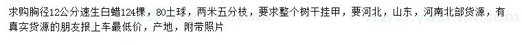 求購胸徑12公分速生白蠟