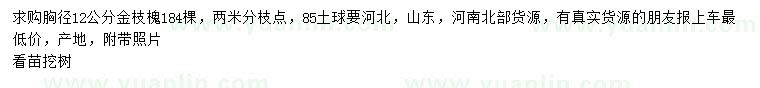 求購胸徑12公分金枝槐