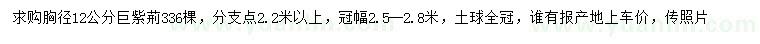 求購胸徑12公分巨紫荊